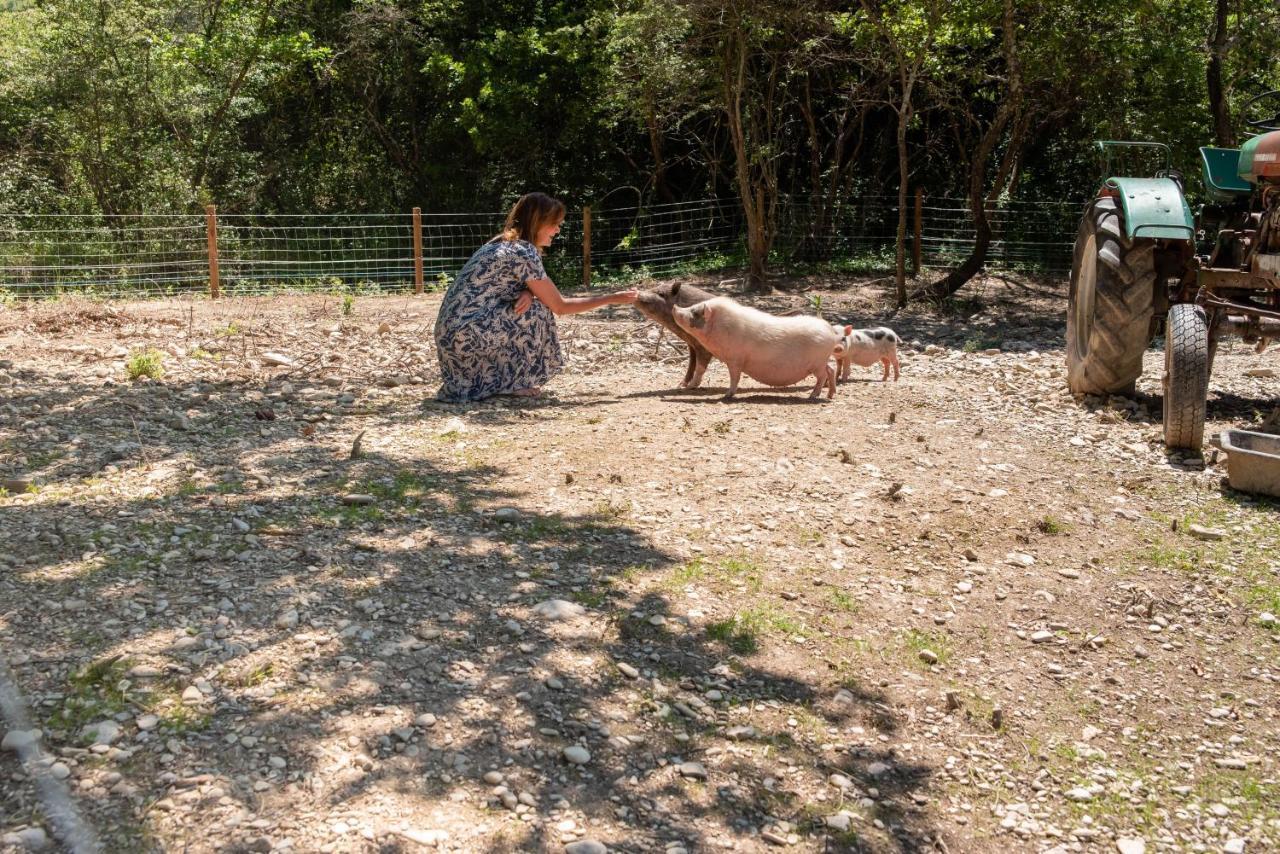 ホテル ドメーヌ デ ブリドゥー ヴィレッジ デ ジテ Mirabel-aux-Baronnies エクステリア 写真